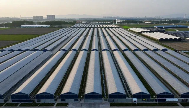 市场调研服务模式的性能差异与适用场景分析